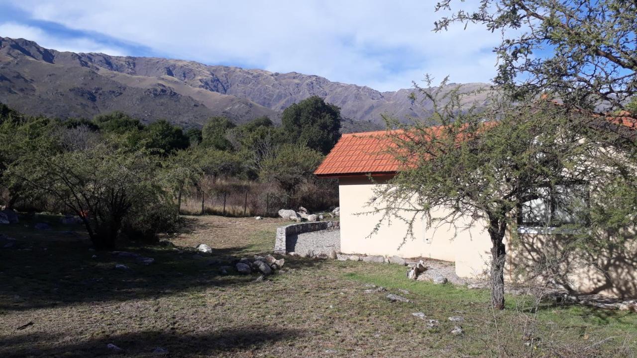 Asm Casa Iii