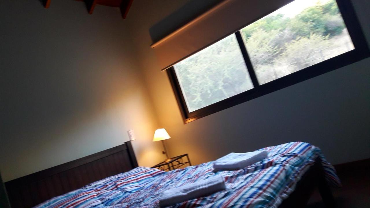 Asm Casa Iii